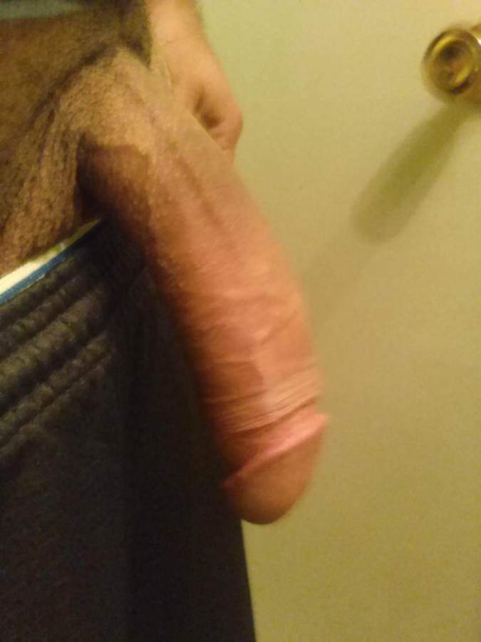 Image #2526